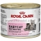 Royal Canin Babycat 195g